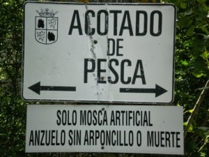 pesca sin muerte