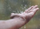 beber agua de lluvia