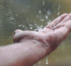 beber agua de lluvia