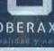 Cerebro